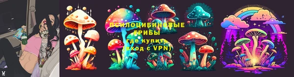 ECSTASY Сосновка