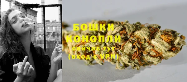 гашик Богданович