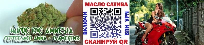 shop какой сайт  Бузулук  ТГК концентрат 