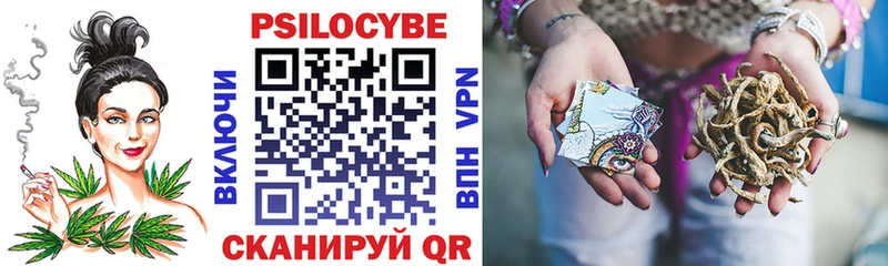 Галлюциногенные грибы MAGIC MUSHROOMS  закладки  Бузулук 
